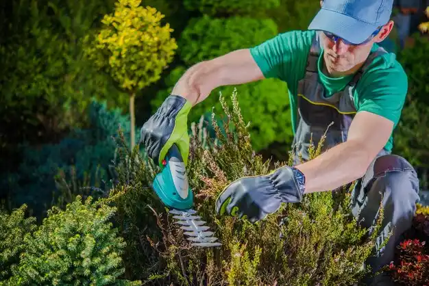 landscaping services Piketon
